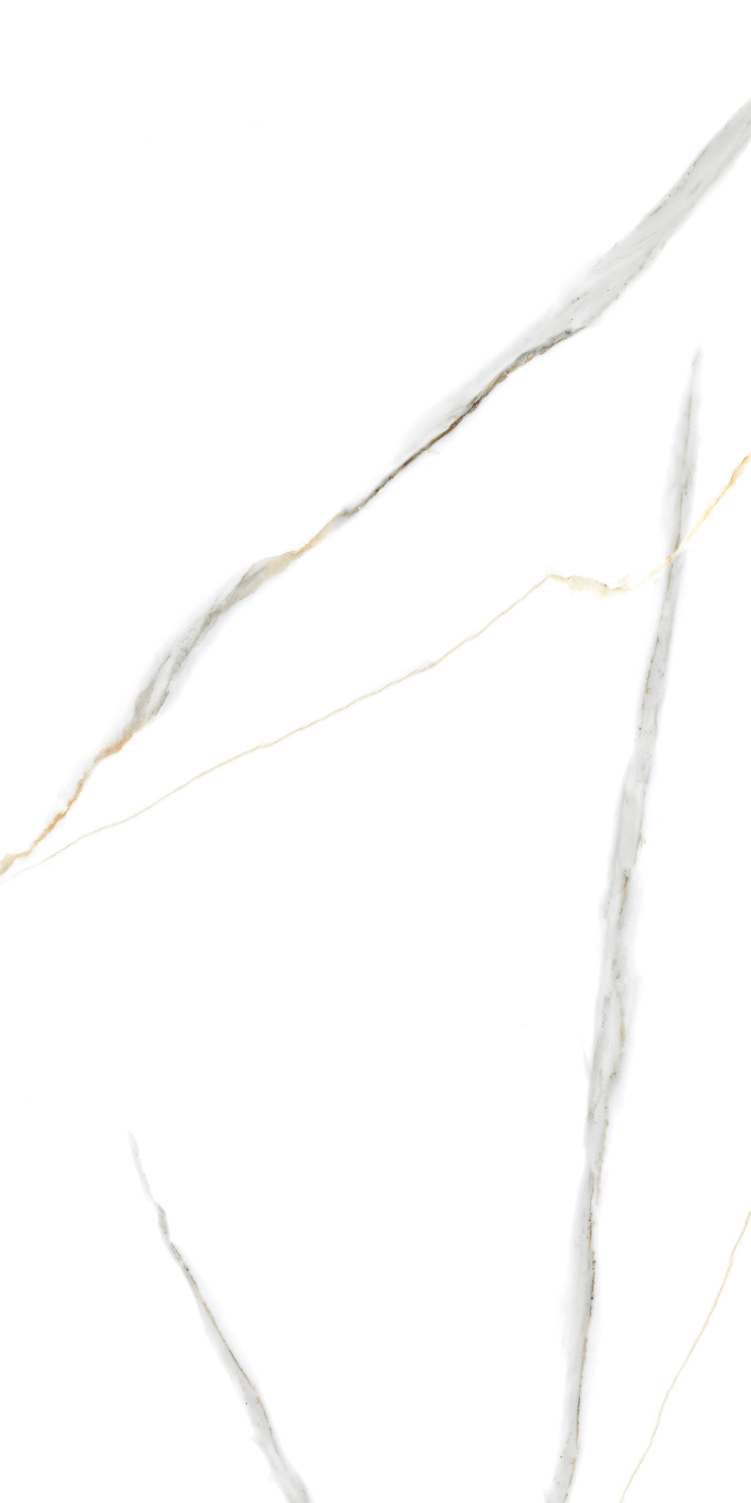 Porcelain Tile  60x120 Angel Statuario (Glossy)